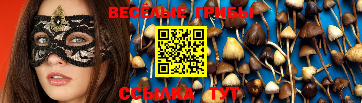Псилоцибиновые грибы ЛСД  Галлюциногенные грибы Magic Shrooms  Чапаевск  Вход с VPN 